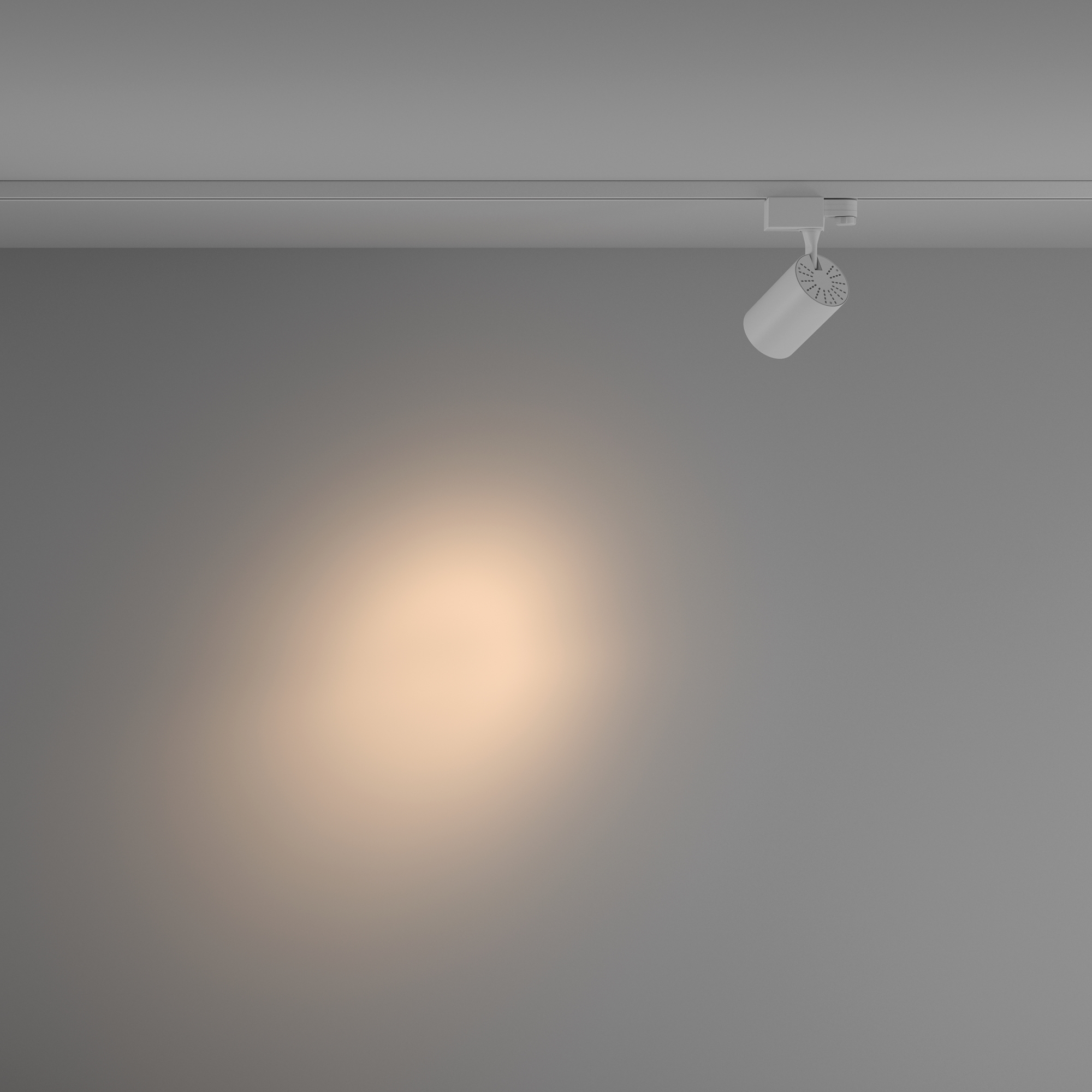 Трековый светильник Maytoni Technical Vuoro TR029-3-10W3K-S-W_MY