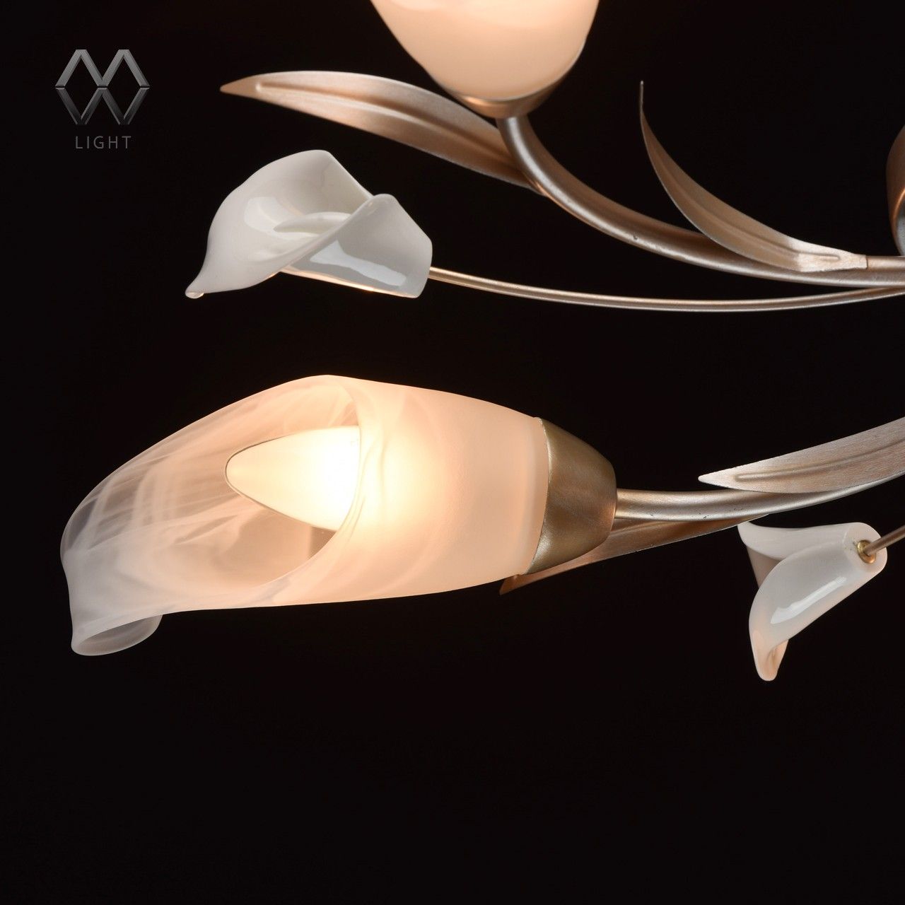 Потолочная люстра MW-Light Восторг 242016205_MW