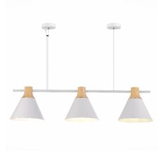 Подвесной светильник Evoluce MODICA SLE125103-03