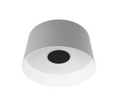 Потолочный светильник LOFT IT Duo 10360M Grey_LF