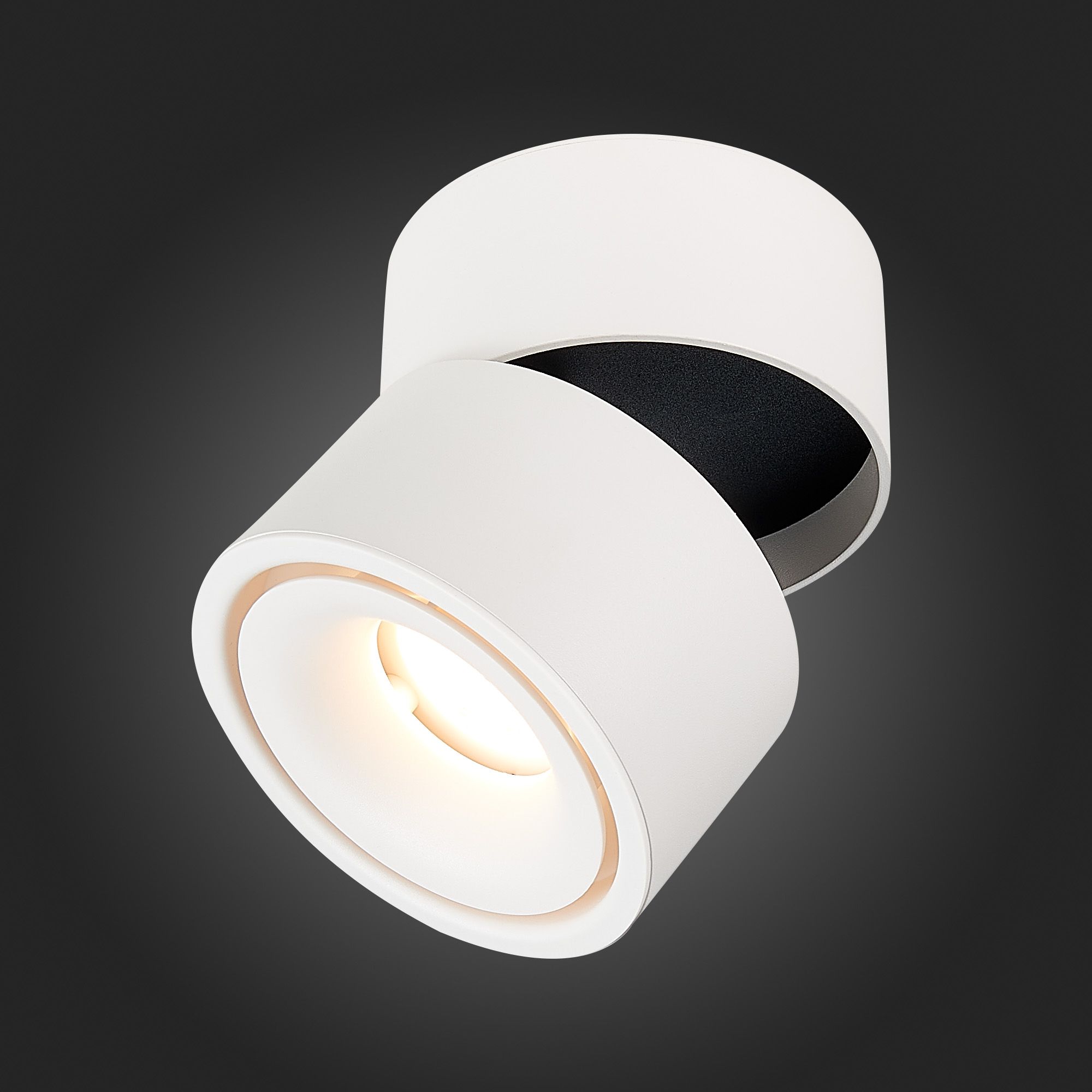 Потолочный светильник ST Luce ST652 ST652.532.12