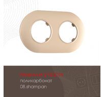 Рамка из поликарбоната на 2 поста Arte Milano 502.08-2.shampan