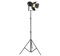 Торшер Globo Egon 54650-1SB_GL