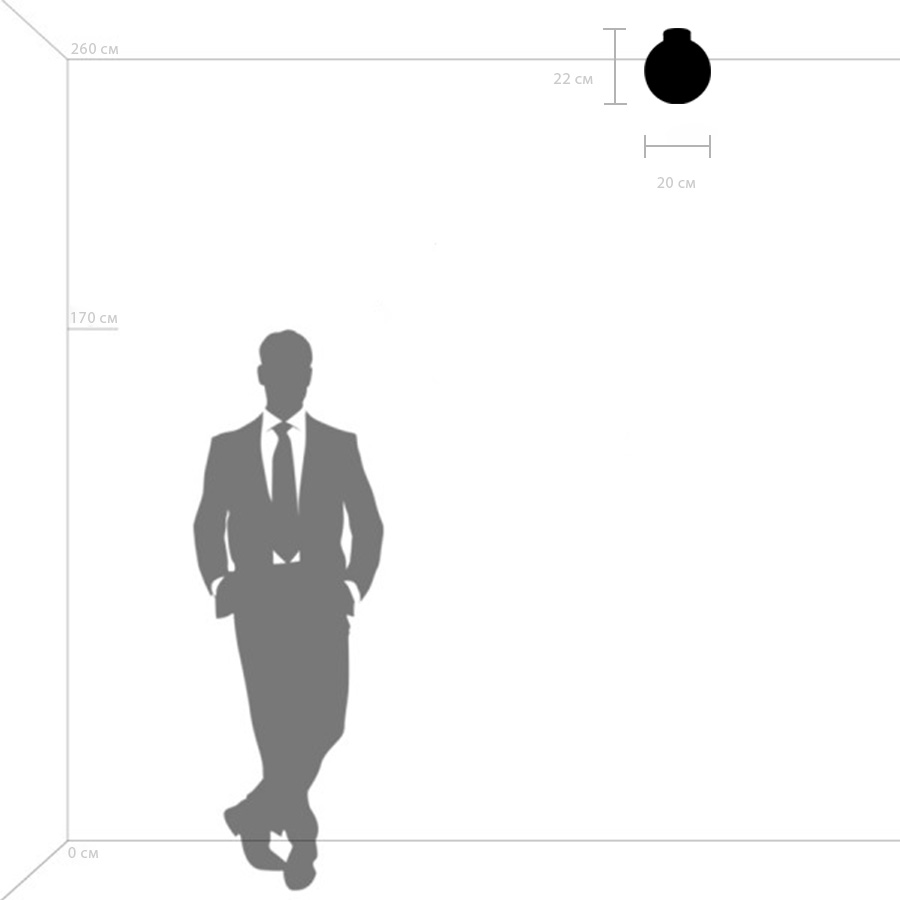 Потолочный светильник LightStar Плафон Globo 812023_LS