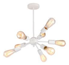 Потолочная люстра Lussole KENNER LSP-8269