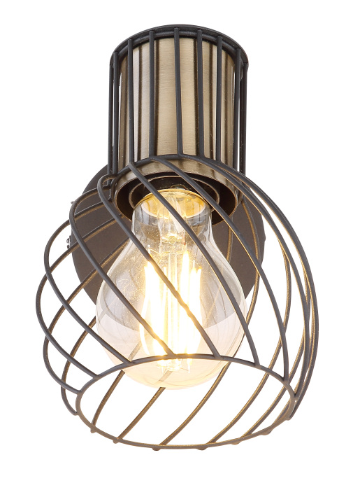 Спот Globo Argusto 54013-1_GL