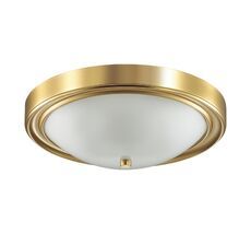 Настенно-потолочный светильник Lumion NINA 5259/3C