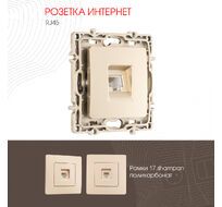 Розетка интернет RJ45 Arte Milano 217.45-1.shampan