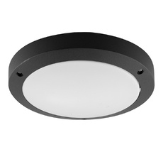 Потолочный светильник уличный IP54 Feron 11868_FR