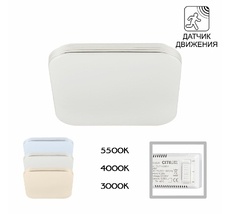 Потолочный светильник CitiLux Симпла CL714K24SV