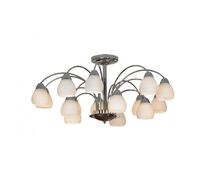 Потолочная люстра Lussole Apiro LSF-2403-15