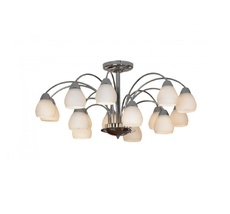 Потолочная люстра Lussole Apiro LSF-2403-15