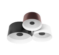 Потолочный светильник LOFT IT Duo 10360/3_LF