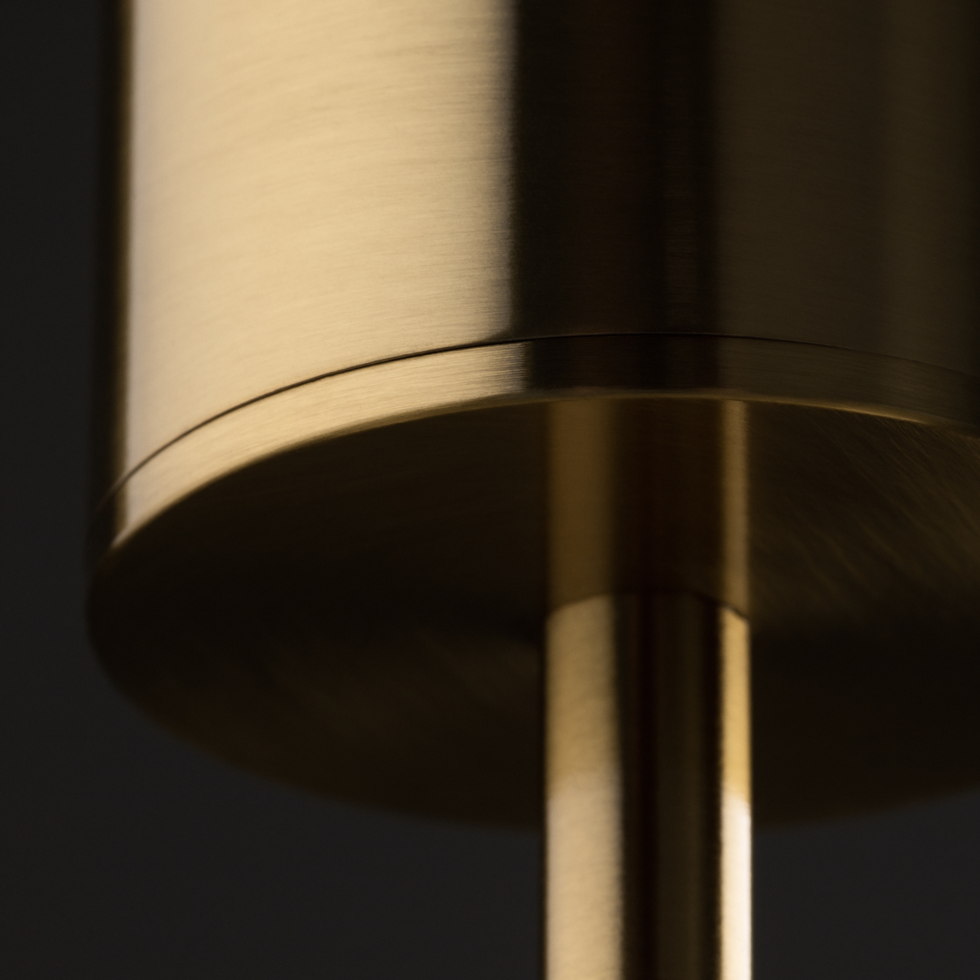 Подвесной светильник Freya Pina FR5387PL-L14BS_MY