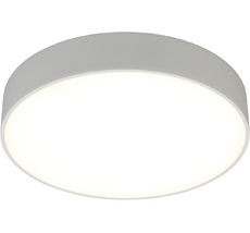 Потолочный светильник круглый светодиодный Aployt APL.0114.09.24