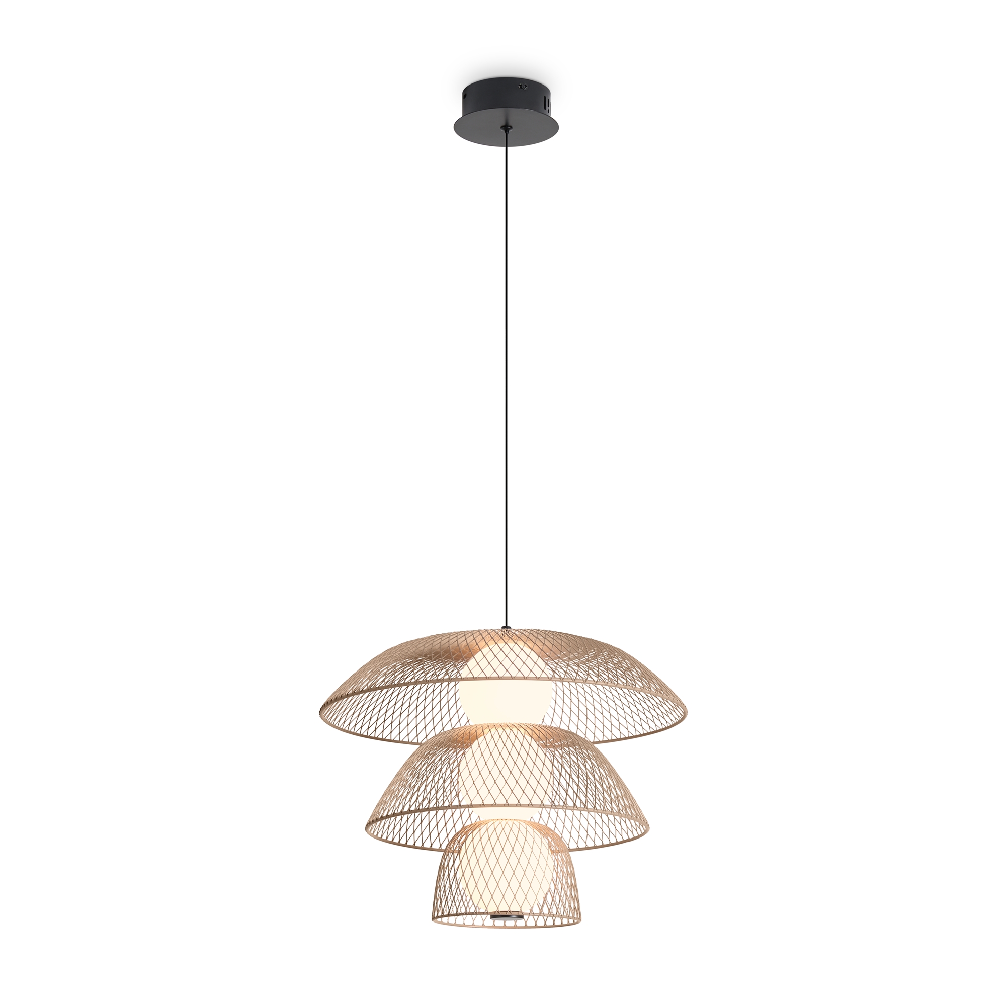 

Подвесной светильник Freya Harper FR5545PL-L5BG, FR5545PL-L5BG