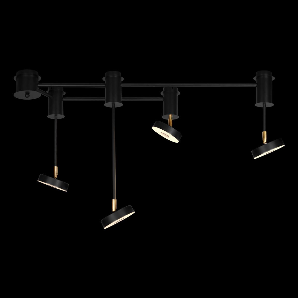 Потолочная люстра Loft IT Flock 10189/1000_LF