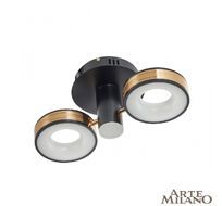 Светильник потолочный Arte Milano Ferrara 271040/2R BK/GD