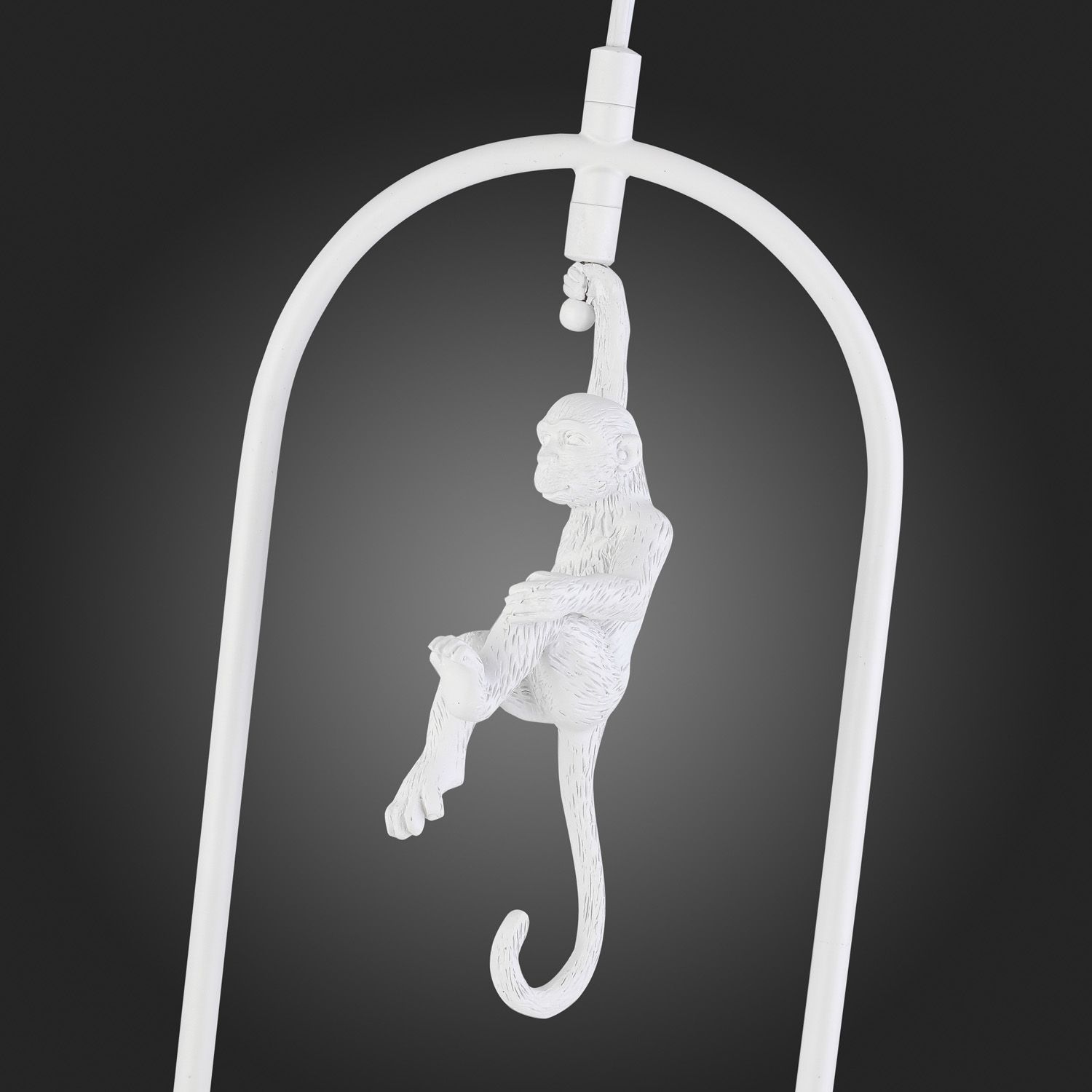 Подвесной светильник Evoluce с мартышкой TENATO SLE115123-01