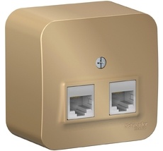 Розетка накладная двойная Ethernet RJ-45 (титан) Systeme Electric BLNIA045454