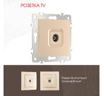 Розетка TV Arte Milano 206.43-1.shampan