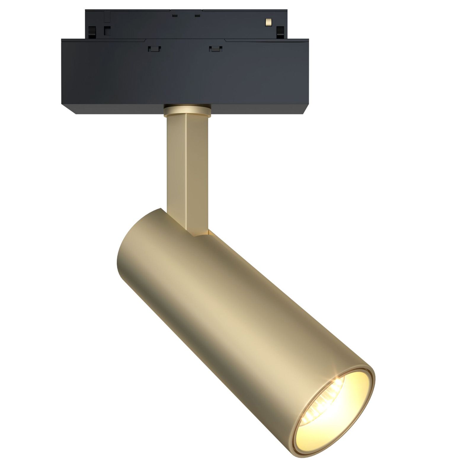 Трековый светильник магнитный Maytoni Focus LED TR019-2-10W4K-MG_MY