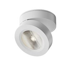 Накладной светильник Maytoni Alivar C022CL-L12W4K_MY