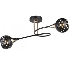 Потолочная люстра на штанге Imex MD.19074-2-S-BK+FGD_IM