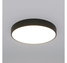 Потолочный светильник Eurosvet Entire a063081_EU