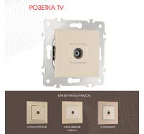 Розетка TV Arte Milano 203.43-1.shampan