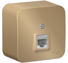 Розетка накладная Ethernet RJ-45 (титан) Systeme Electric BLNIA045004