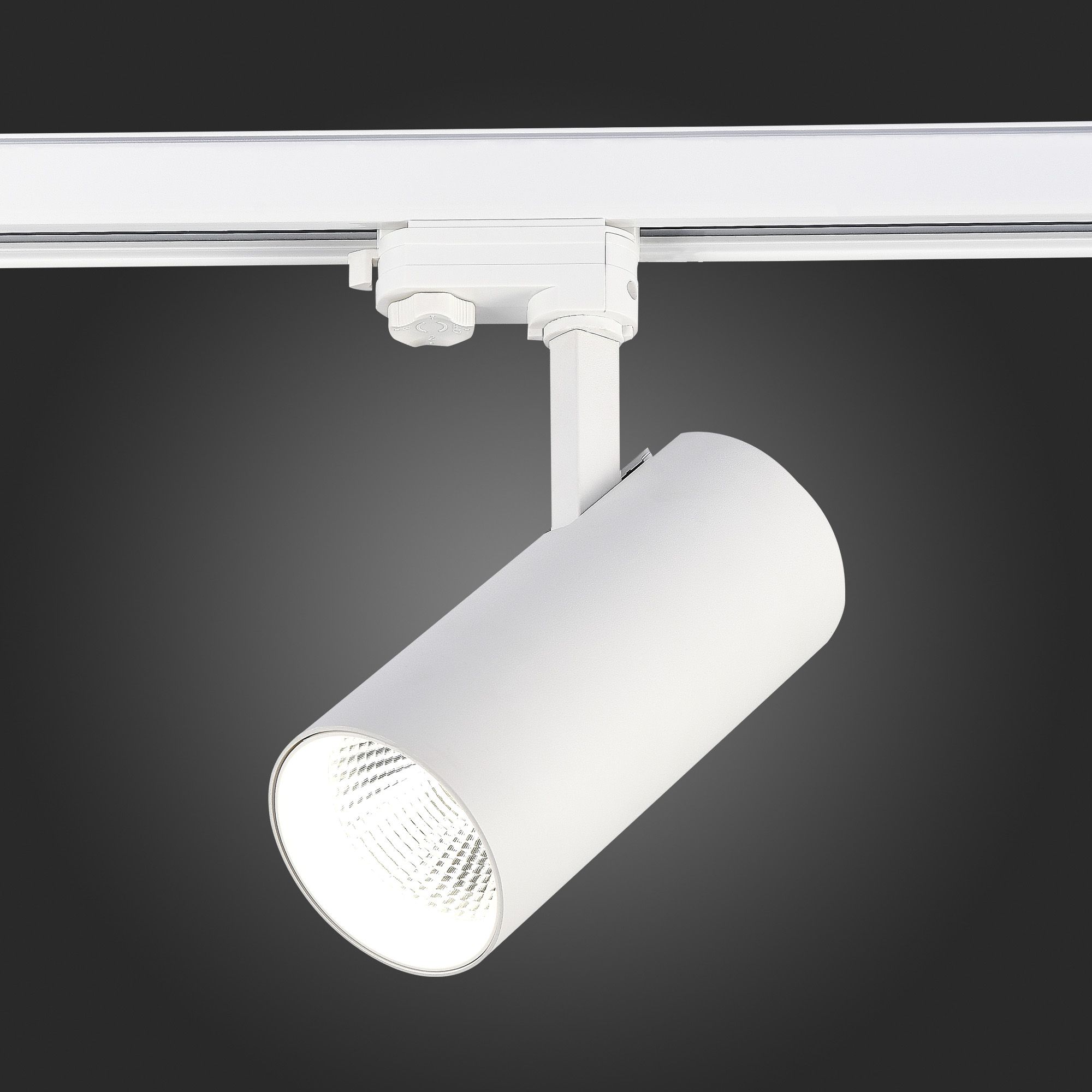 Трековый светильник трехфазный ST LUCE Functional ST661.546.40