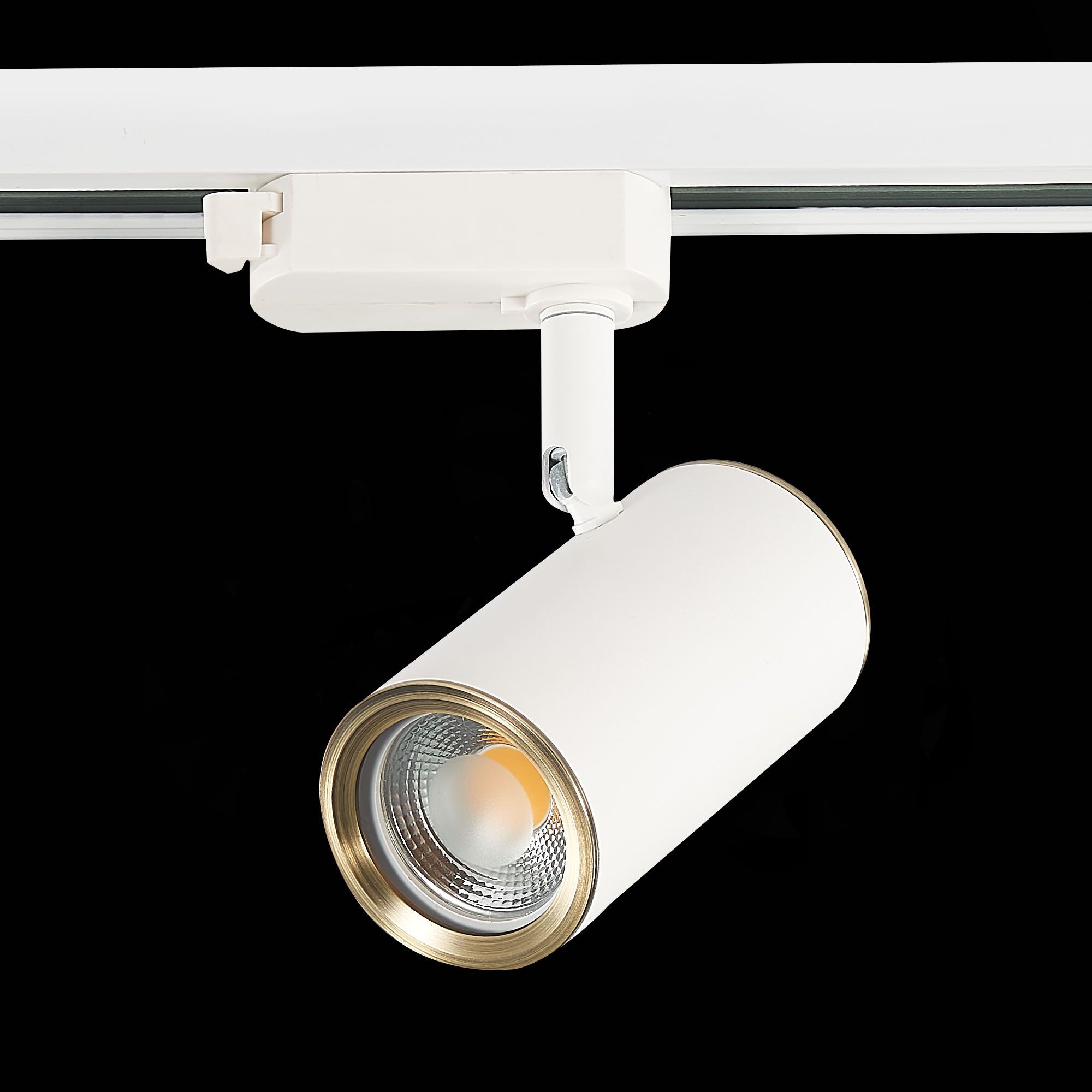 Трековый светильник ST Luce однофазный CROMI ST301.536.01