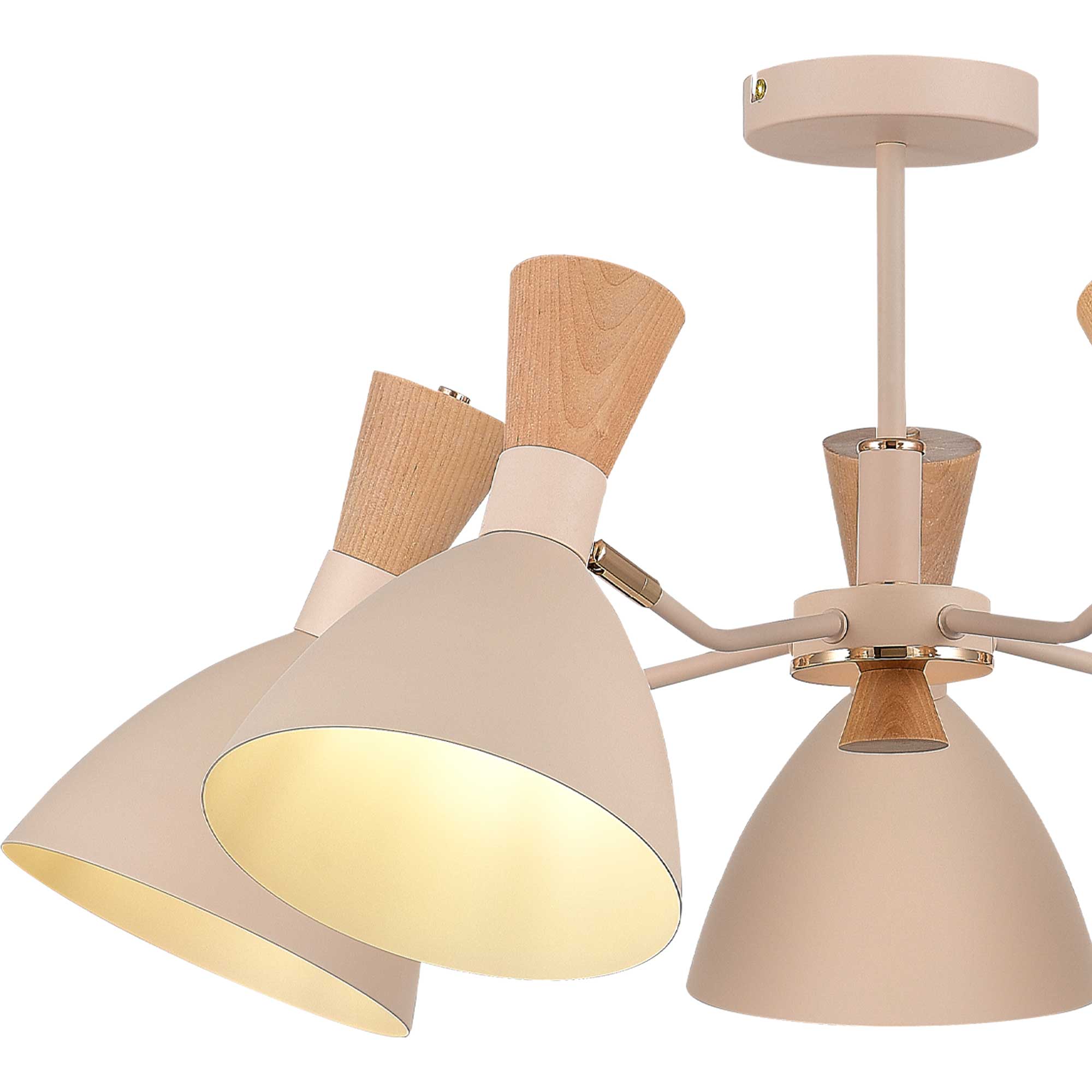 Потолочная люстра EVOLUCE SIERRA SLE1256-502-05