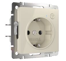 Розетка Wi-Fi (слоновая кость) Werkel a056421_WR