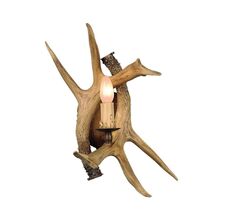 Бра в форме ветки Omnilux OML-52001-01