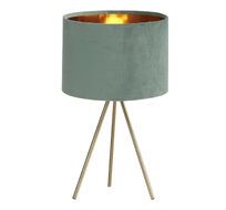 Настольная лампа ST Luce FUEGO SL6242.704.01