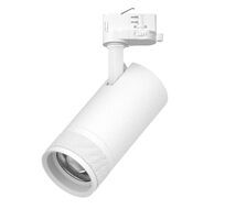 Трековый светильник с адаптером Lightstrar Canno Pro C4306QT_LS