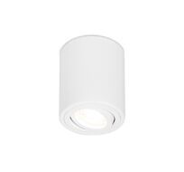 Накладной светильник Ambrella light Techno TN225_AMB