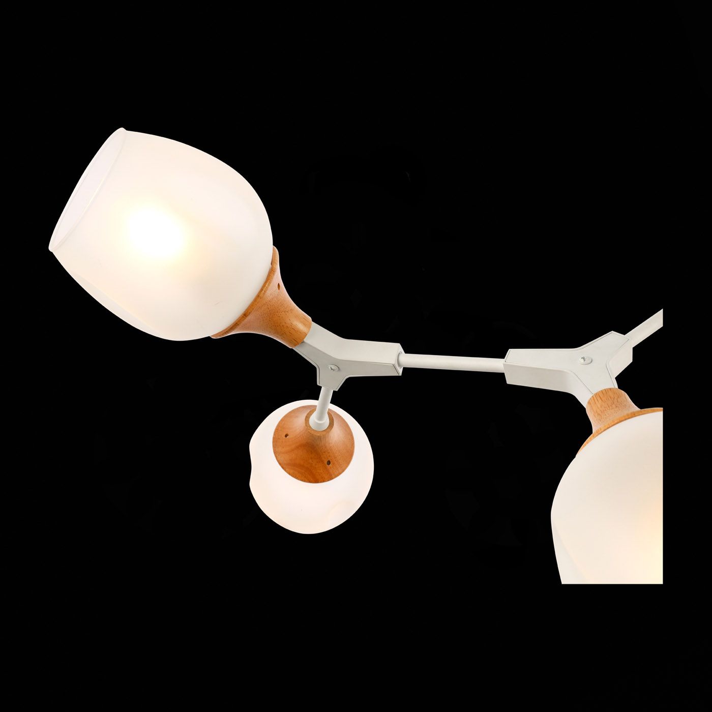 Потолочная люстра Evoluce CIOTOLLA SLE113502-05