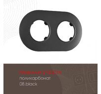 Рамка из поликарбоната на 2 поста Arte Milano 502.08-2.black