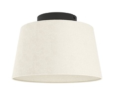 Потолочный светильник Eglo FEBRES 901259