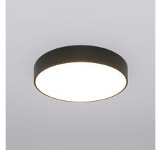 Потолочный светильник Eurosvet Entire a063080_EU