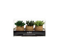 Набор суккулентов 3 шт Garda Decor 8J-18K0040