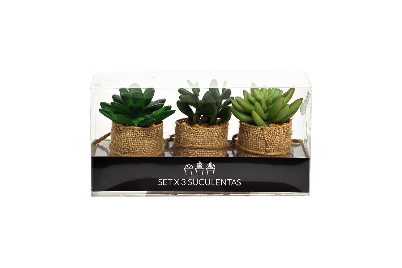 Набор суккулентов 3 шт Garda Decor 8J-18K0040