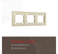 Рамка из поликарбоната на 3 поста Arte Milano 503.06-3.shampan