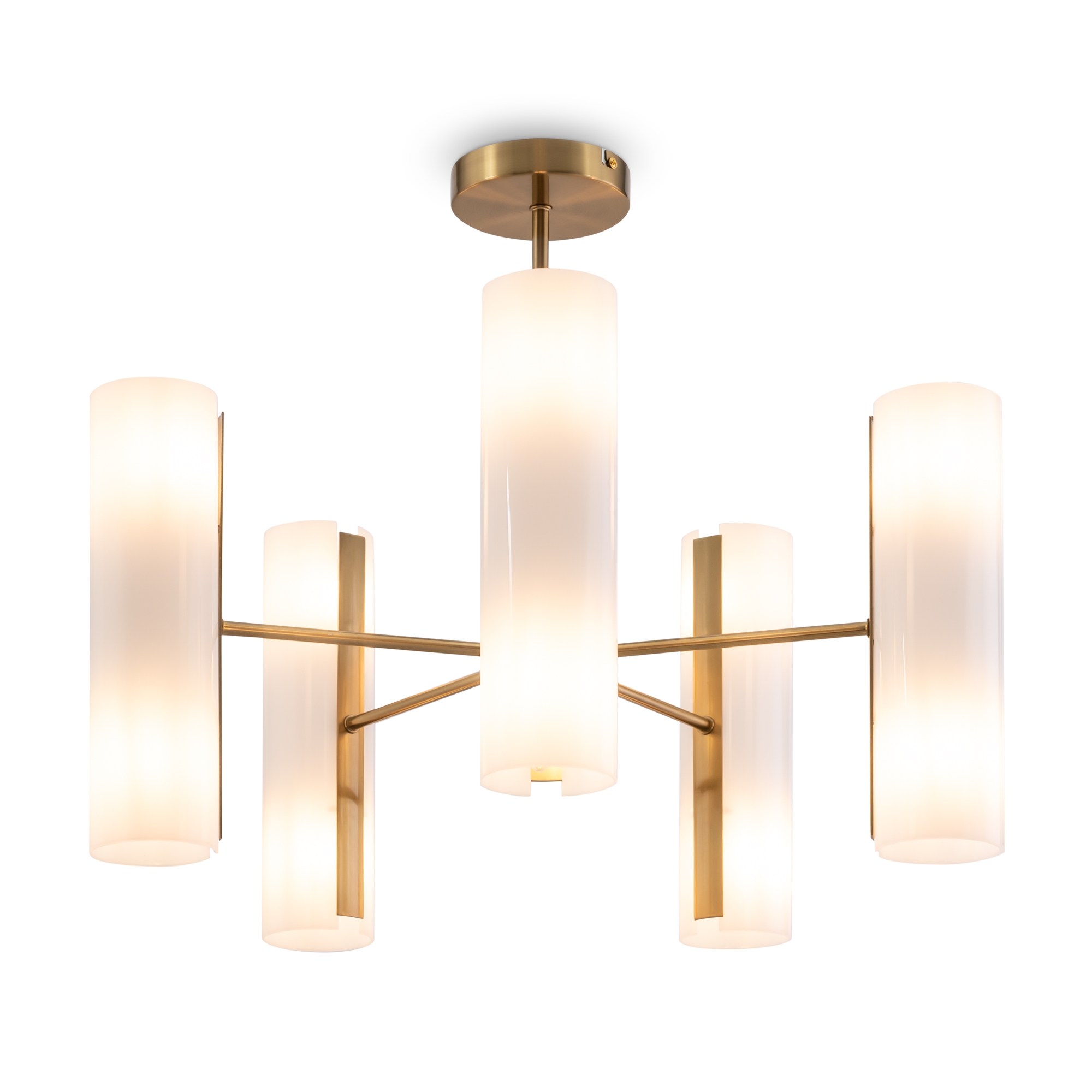 Потолочная люстра Freya Fiore FR5368CL-10BS_MY