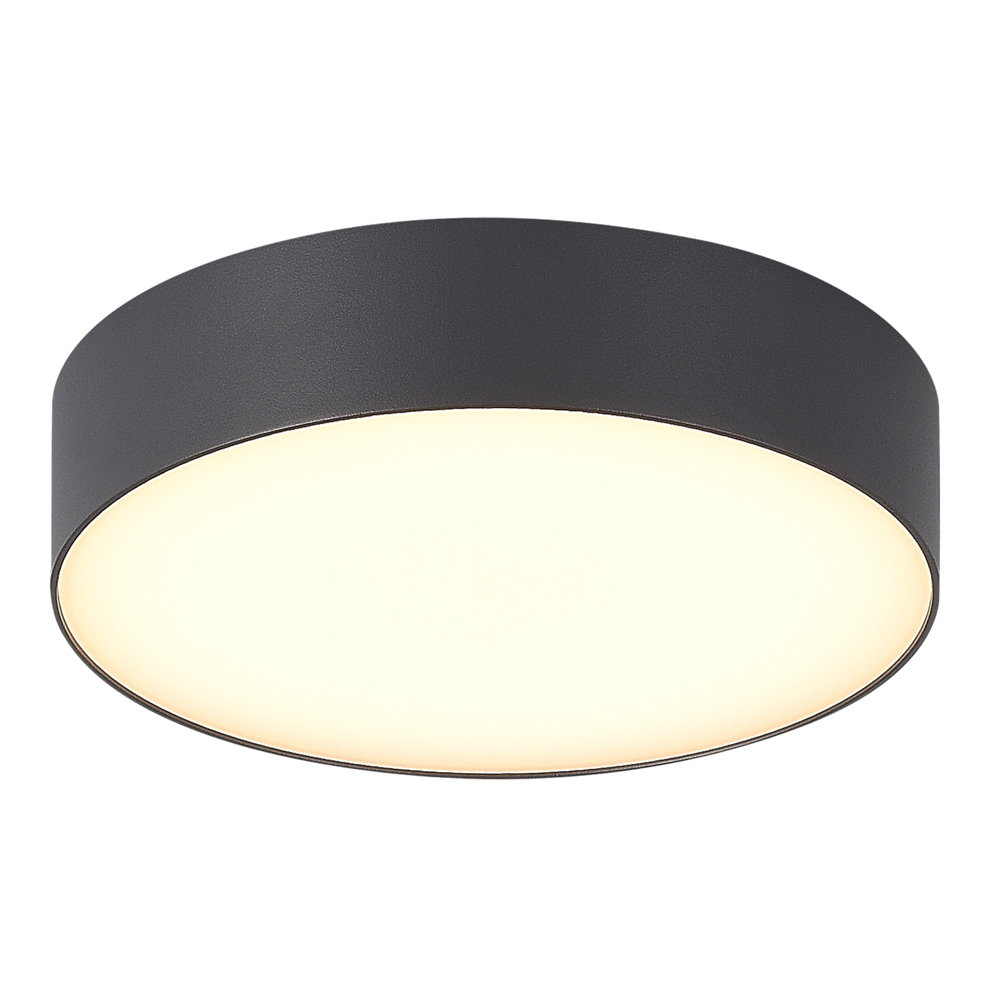 Уличный потолочный светильник ST LUCE SUN SL9518.702.01