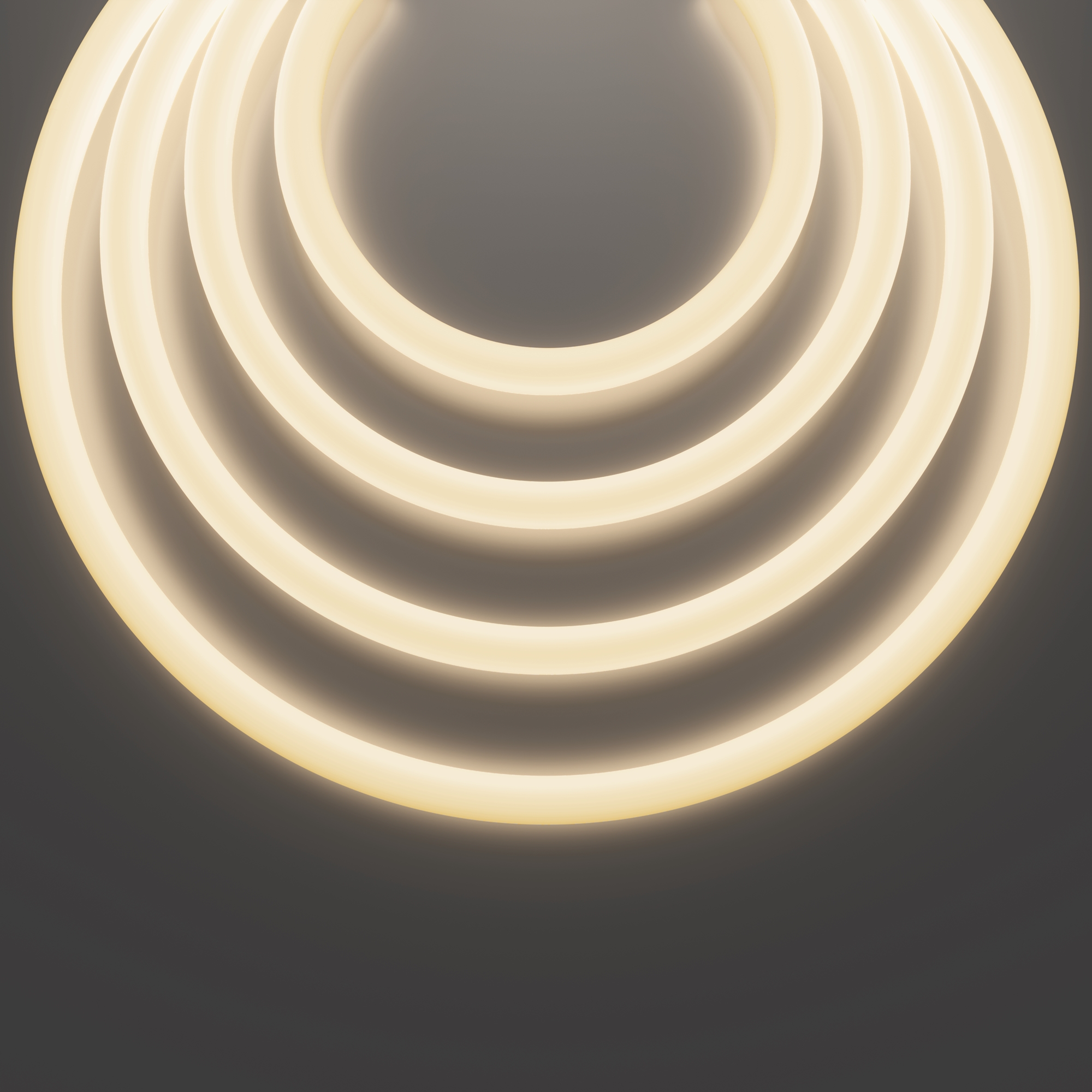 Гибкий неон Nemo D25 48В 12,5Вт/м 3000К IP65 20м Maytoni 433001_MY