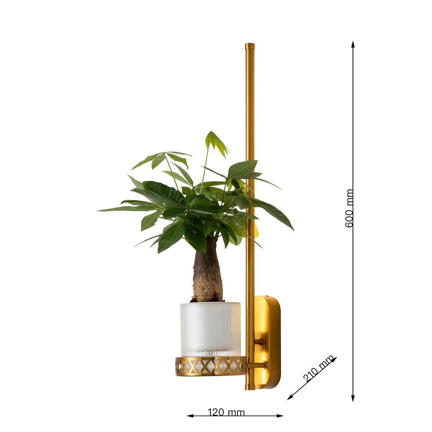 Настенный светильник Favourite Greenery 4050-1W